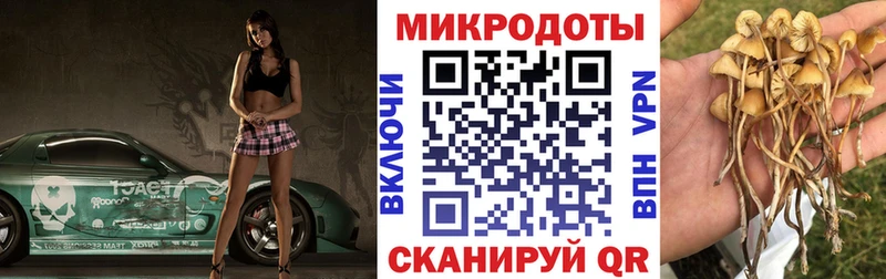 Купить закладки  Олонец  Галлюциногенные грибы MAGIC MUSHROOMS 